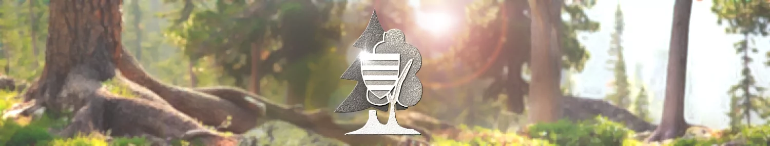 banner gallery