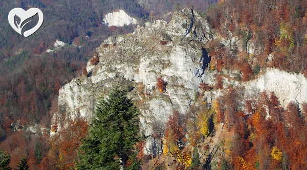 Objekty 