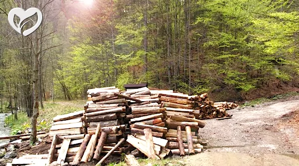 Obchod a služby