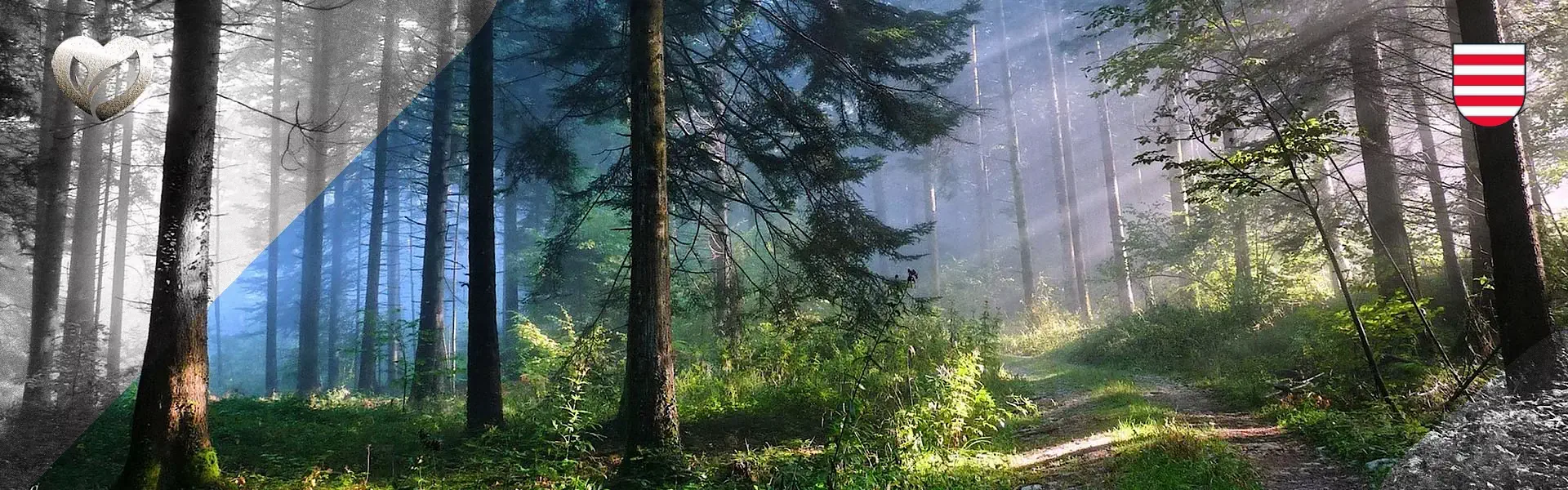 Mestské lesy Banská Bystrica